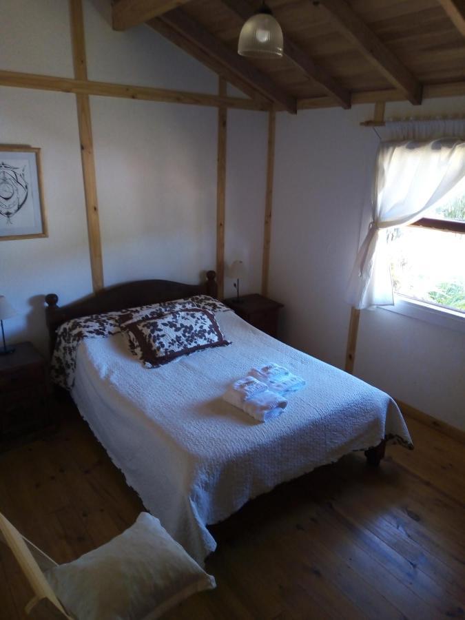 La Berendina Hotel Huechulafquen Lake ภายนอก รูปภาพ